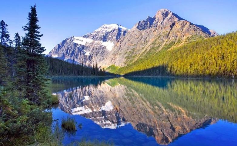 负离子成了高考生的“助考”神器，为什么考生都在用？