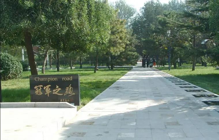 2020年北京体育大学运动训练考研,体育运动训练考研院校