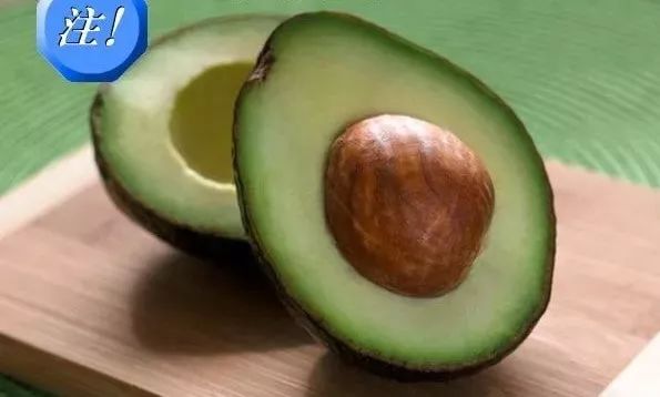 对猫有毒的植物气味也不能闻吗,对猫有毒的食物