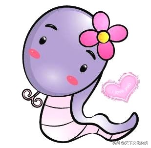 63年女兔2019全年运势和运程,十二生肖2019年运势及运程完整