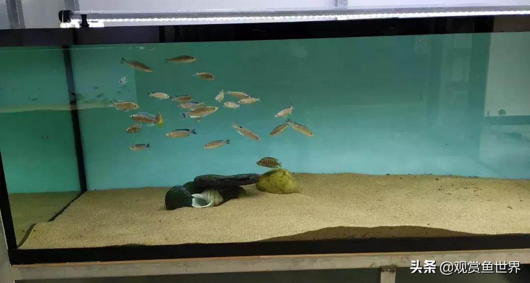 梦想的三湖世界持续建设中……方位:中国天津