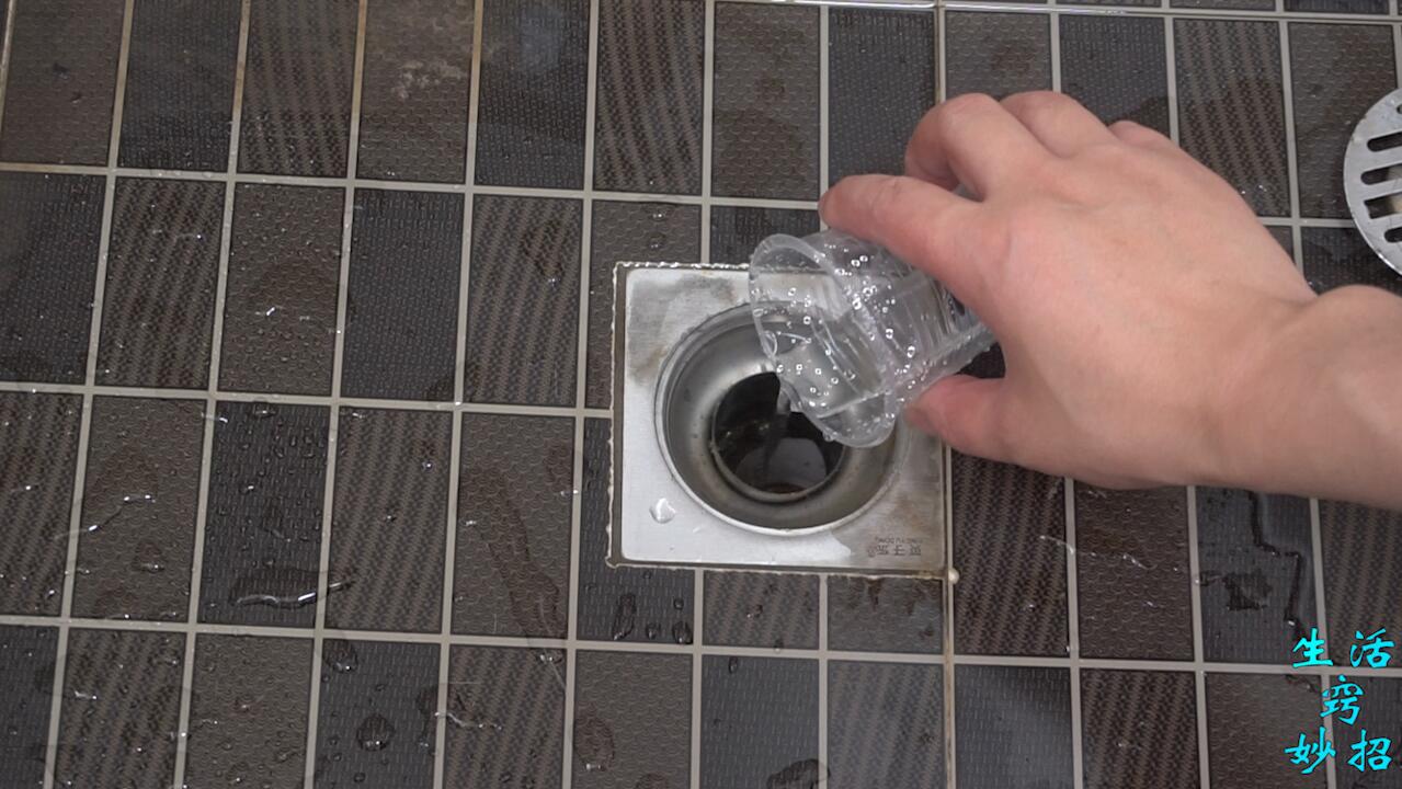 天气一热厕所出现的小飞虫是什么,卫生间小飞虫找不到原因