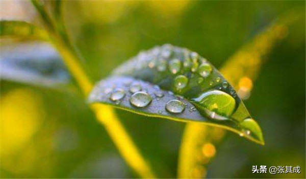 气是生命的源泉中医,气是人体生命的原动力