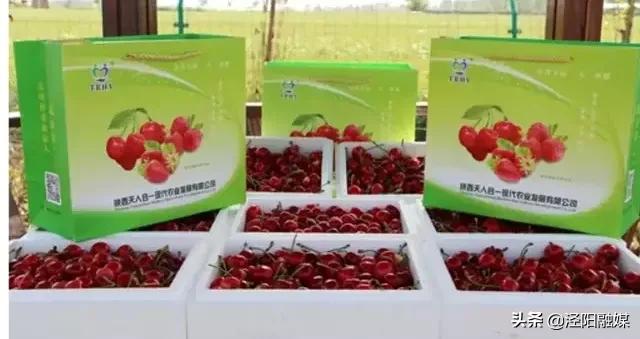 吃樱桃的注意事项图文,吃樱桃的注意事项