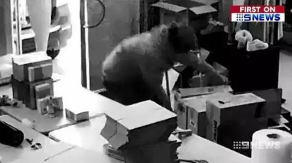 coles婢虫床鐗涘ザ,coles鍏ㄨ剛鐗涘ザ浠ｈ喘