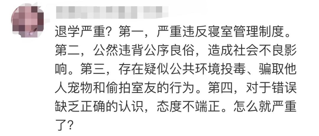高校研究生杀流浪狗,成都高校研究生虐狗事件