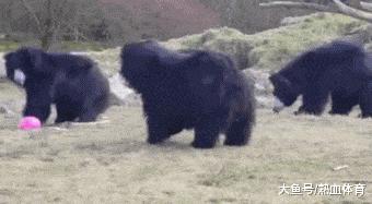 刚从后院挖出来的，大家帮我鉴定一下，我是不是要发财了？