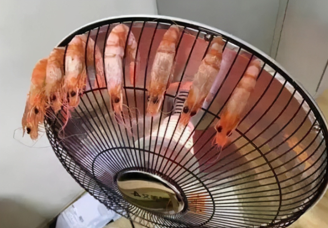 大学寝室的沙雕日常，小太阳上烤大虾，导员闻着味就来没收了