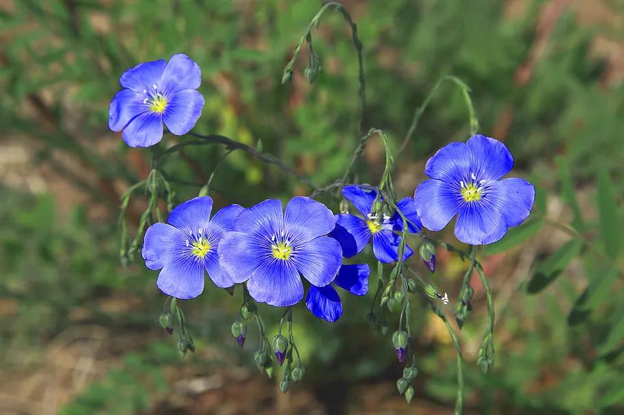 带有收藏的成语,成语归纳给孩子收藏吧