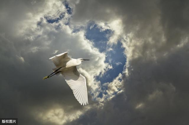 唐诗联句100篇,唐诗三百首优秀句段摘抄加赏析