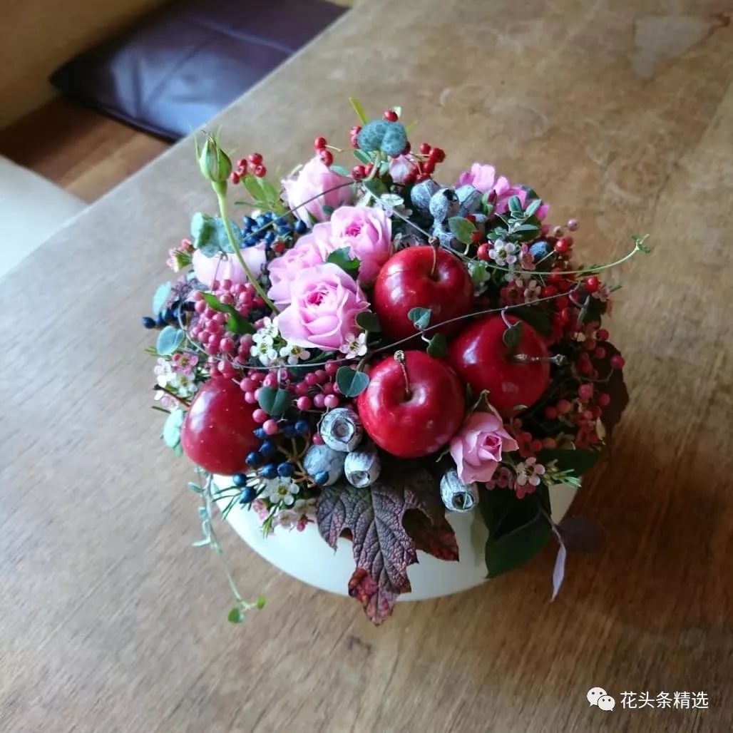 最优质的北美冬青,北美冬青性价比高的