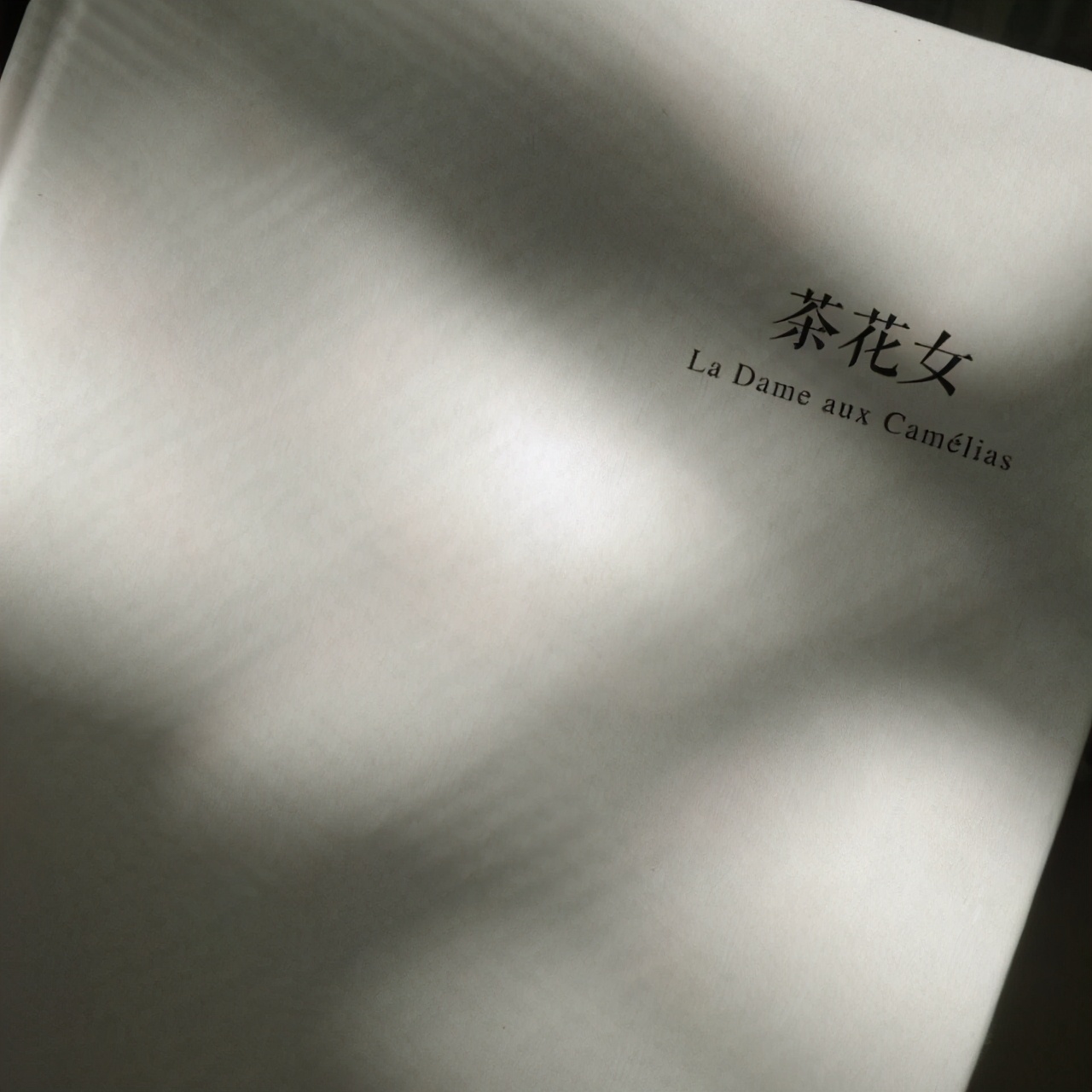 自我排斥是歧视的开始,反感和歧视的区别