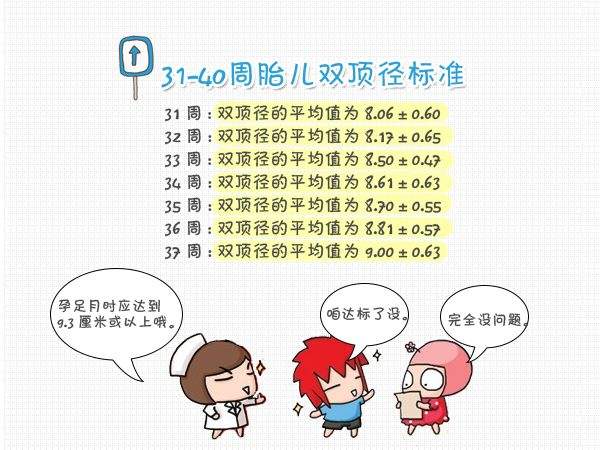 足月胎儿双顶径是多少,足月胎儿双顶径标准是什么