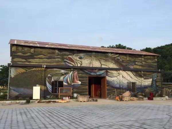 去南华寺体验什么,丹霞山南华寺云门山旅游攻略