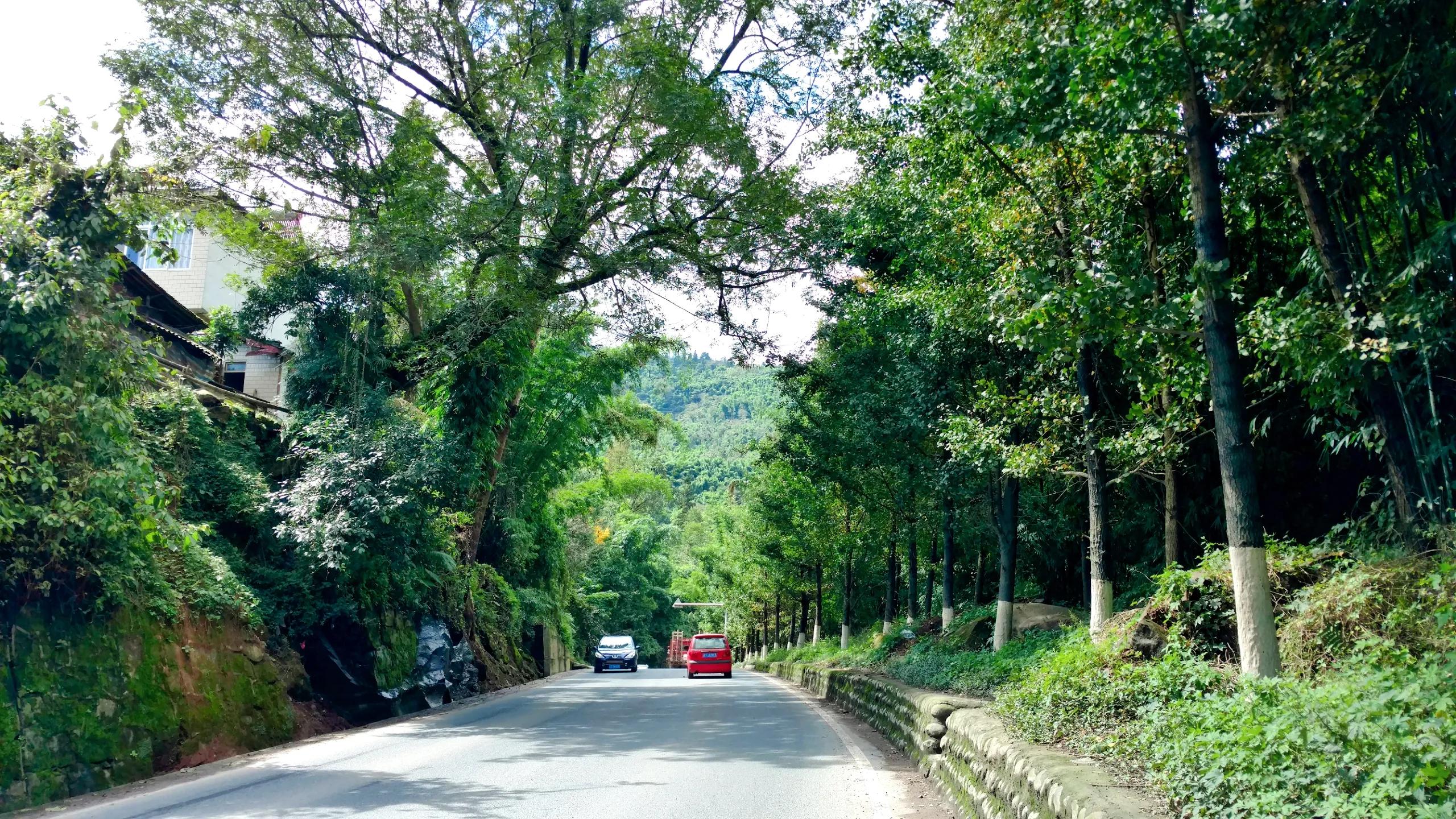 雅安骑行到西藏,雅安雨城骑行