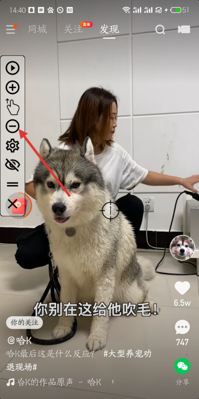 想全自动挂机赚钱吗,进来我教你