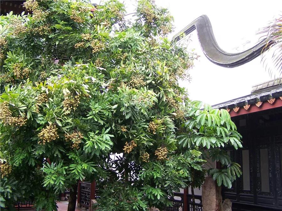 福州林则徐纪念馆，有多少中国人还能记得去瞻仰？