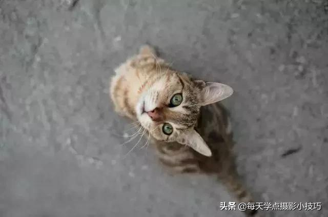 拍照如何拍出模糊感,拍照模糊的技巧