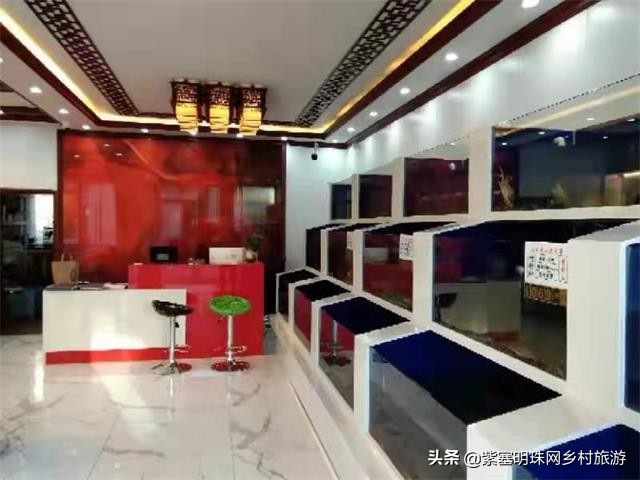 大连蟹都汇大闸蟹,蟹都汇大闸蟹沈阳