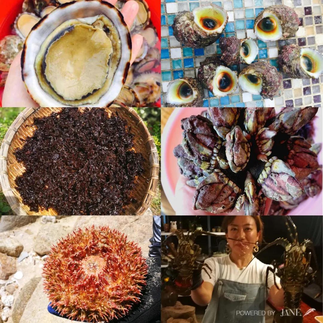 海南温泉酒店亲子游,海南金色阳光温泉度假酒店