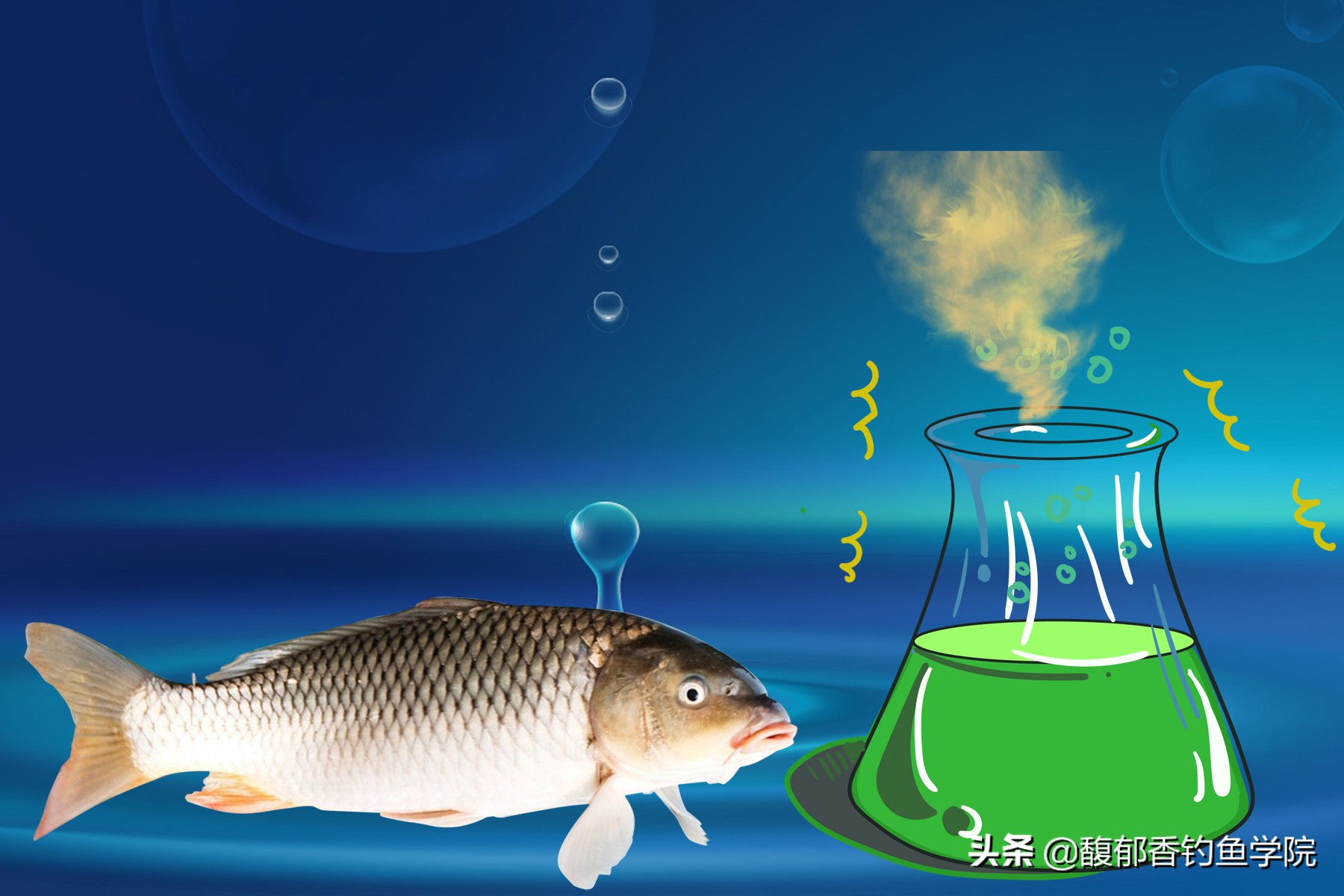 鲤鱼最喜欢吃什么小鱼,鲤鱼最喜欢吃什么植物