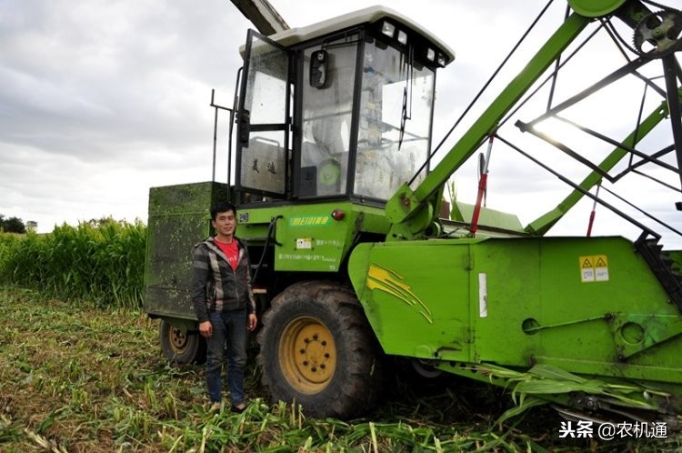 美迪青贮饲料机,美迪青贮机厂家