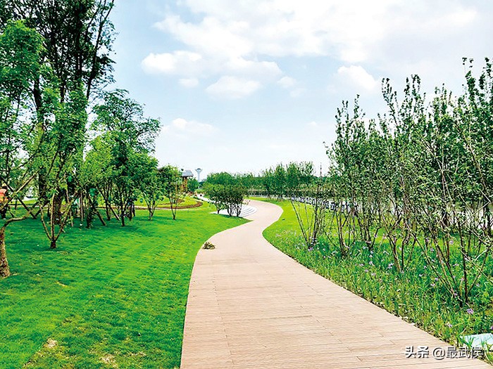 “秋老虎”来了不虚火!武侯这些地方让你享清凉