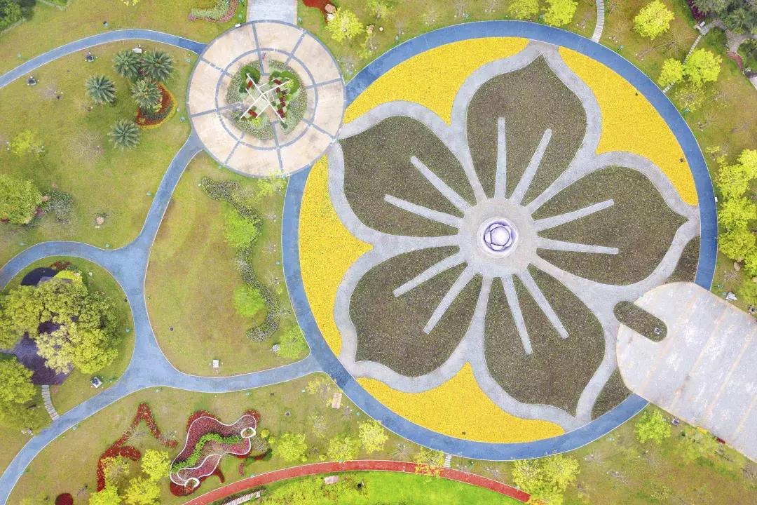 最美的花送给大家共赏,最美的花送给大家观赏