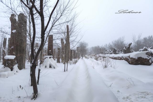 乌鲁木齐灯草沟滑雪,冰雪大世界滑雪体验