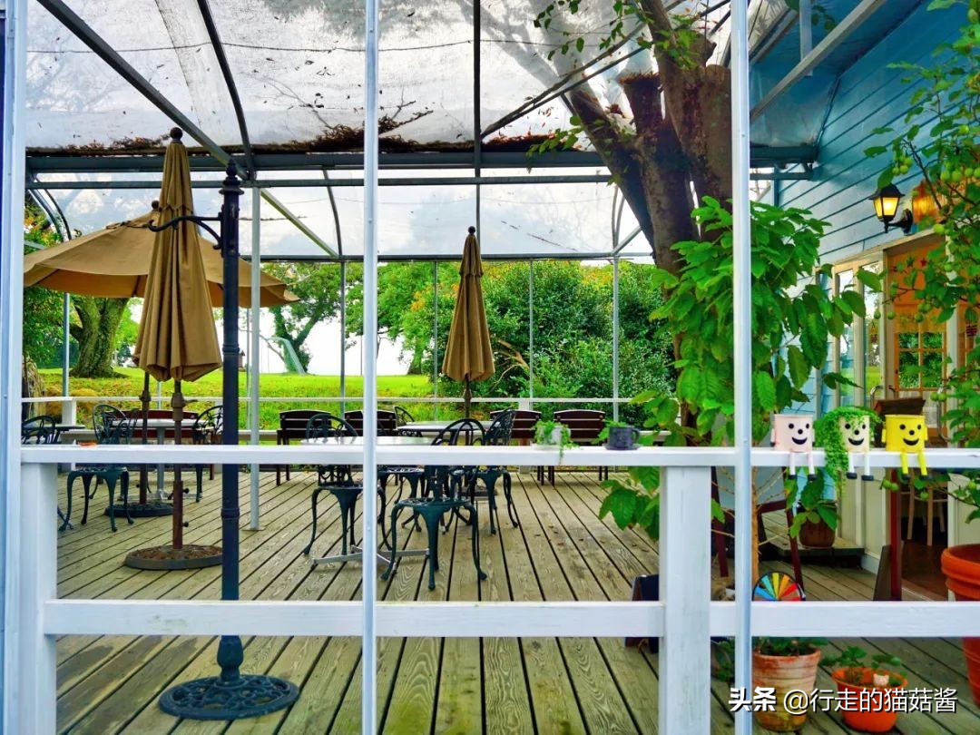 拉面温泉哪里最便宜,日本温泉拉面