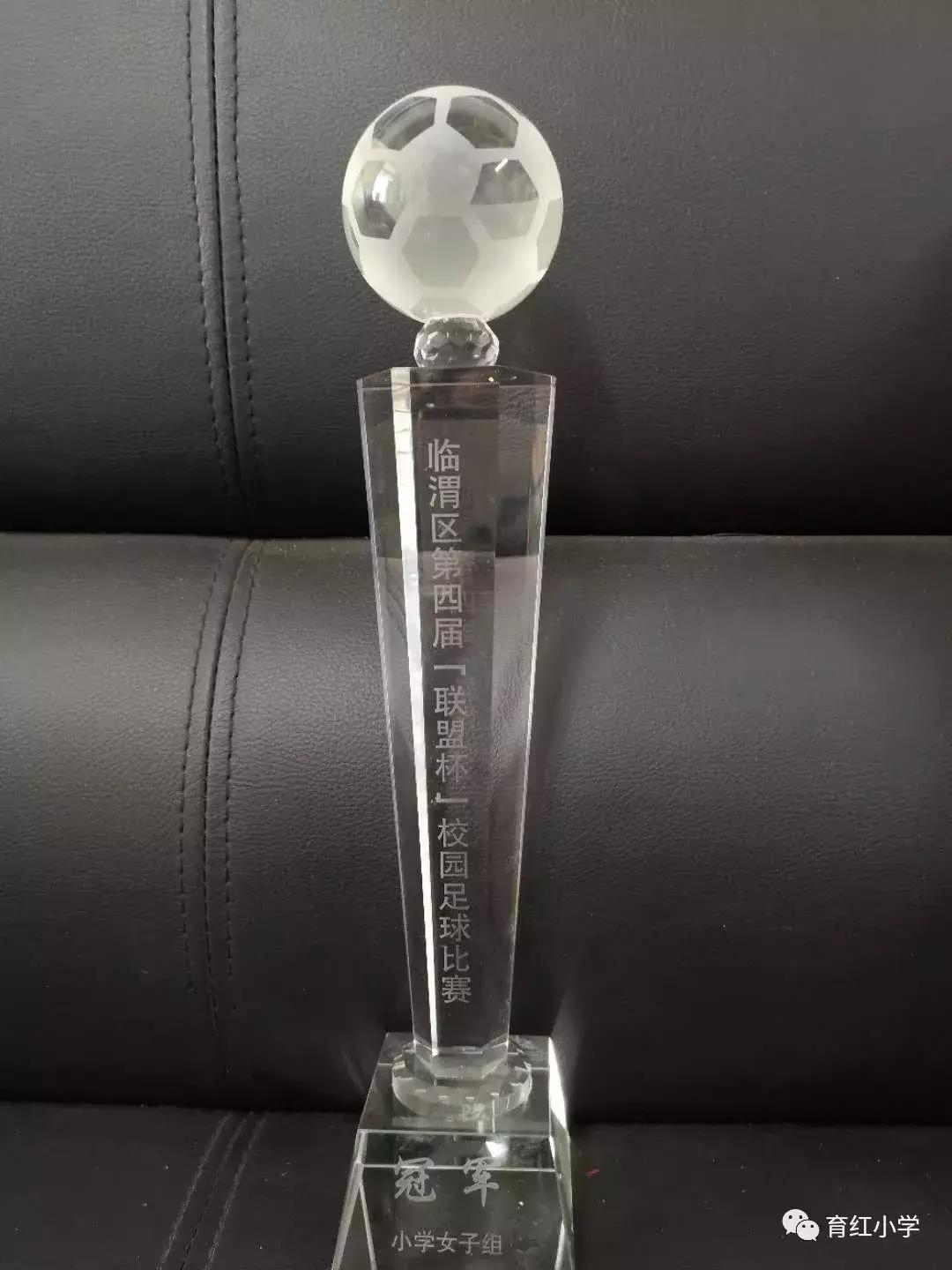 育红小学足球比赛,育红小学2024运动会