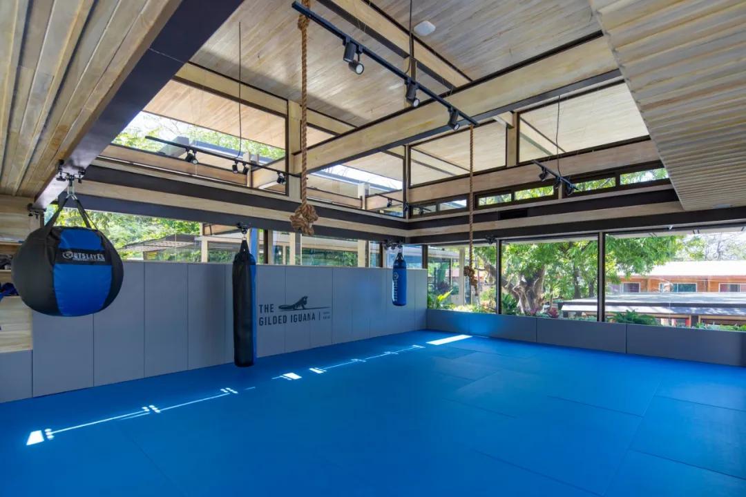 一个完全开放式的林中村落——哥斯达黎加体育中心