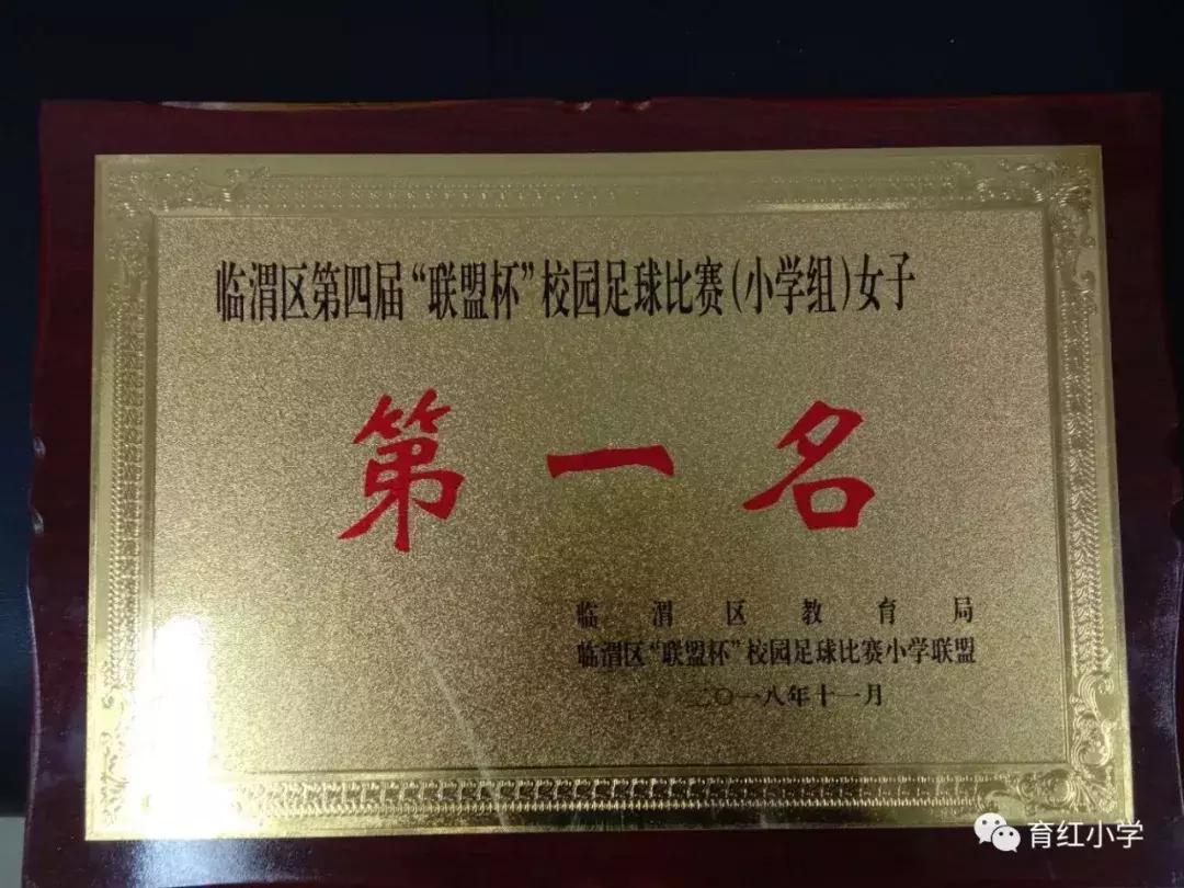 育红小学足球比赛,育红小学2024运动会