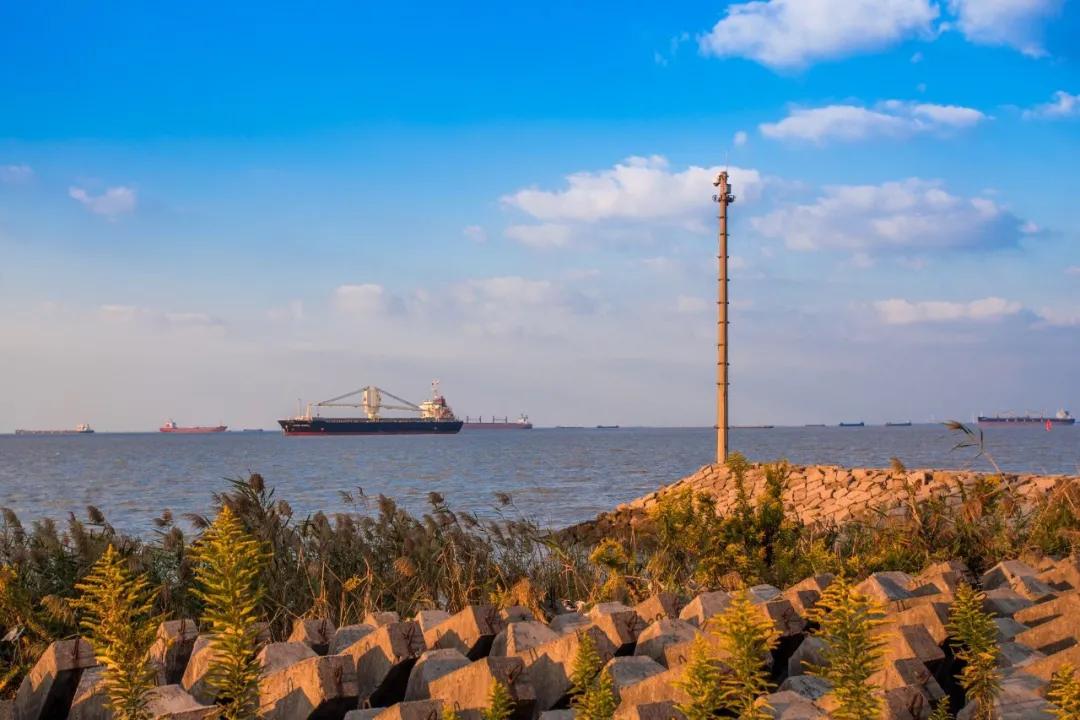 上海外环线房价 (杨浦滨江轨交)