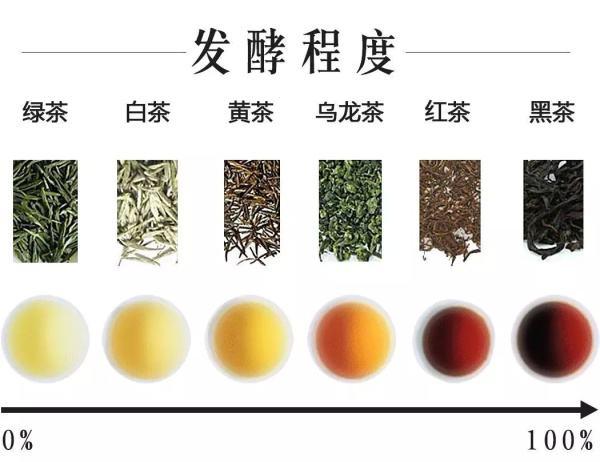 茶的认识与使用方法,正确的茶知识大全