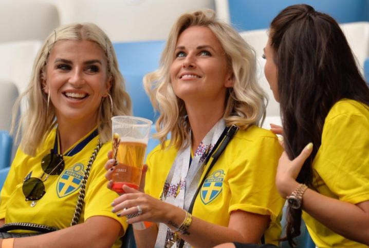 瑞典奇葩国家,瑞典发达的领域