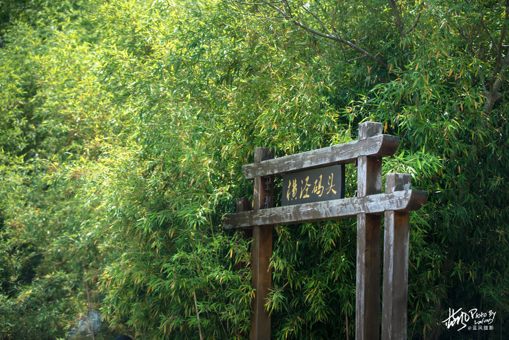 不进沙家浜景区能看到芦苇荡,深度游玩沙家浜风景区