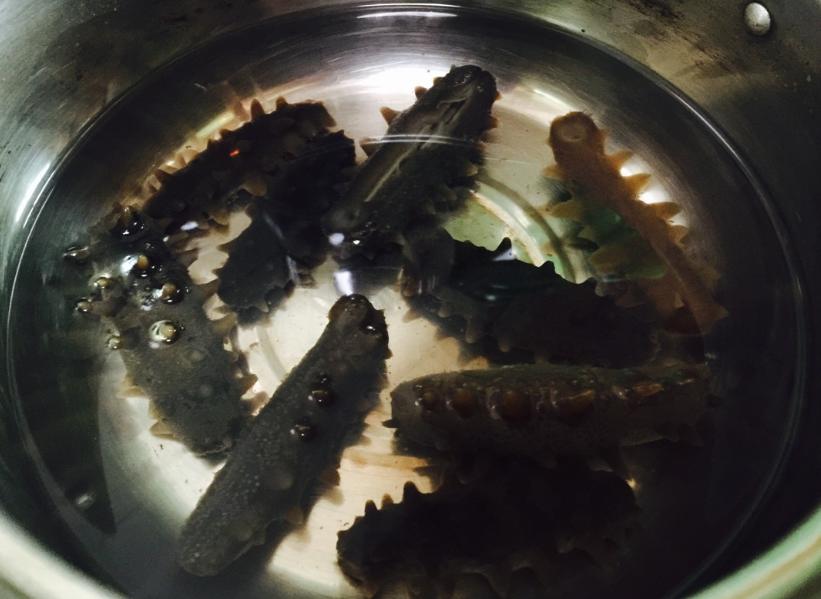葱烧海参怎么做海参不会回缩,葱烧海参怎么做海参才能不缩小