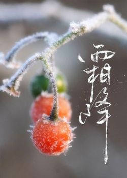 霜降诗词配图,霜降节气诗句及图片