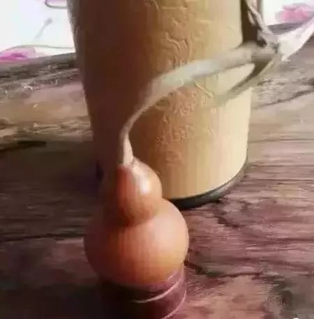 文玩葫芦龙头生虫怎么办,文玩葫芦如何避免损坏龙头