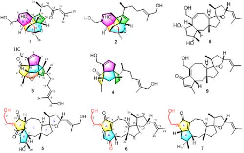 厉害了我国的科技,华科重大科研成就