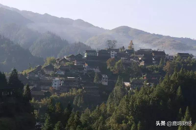 我在名柯当美食博主,我在抖音当声优