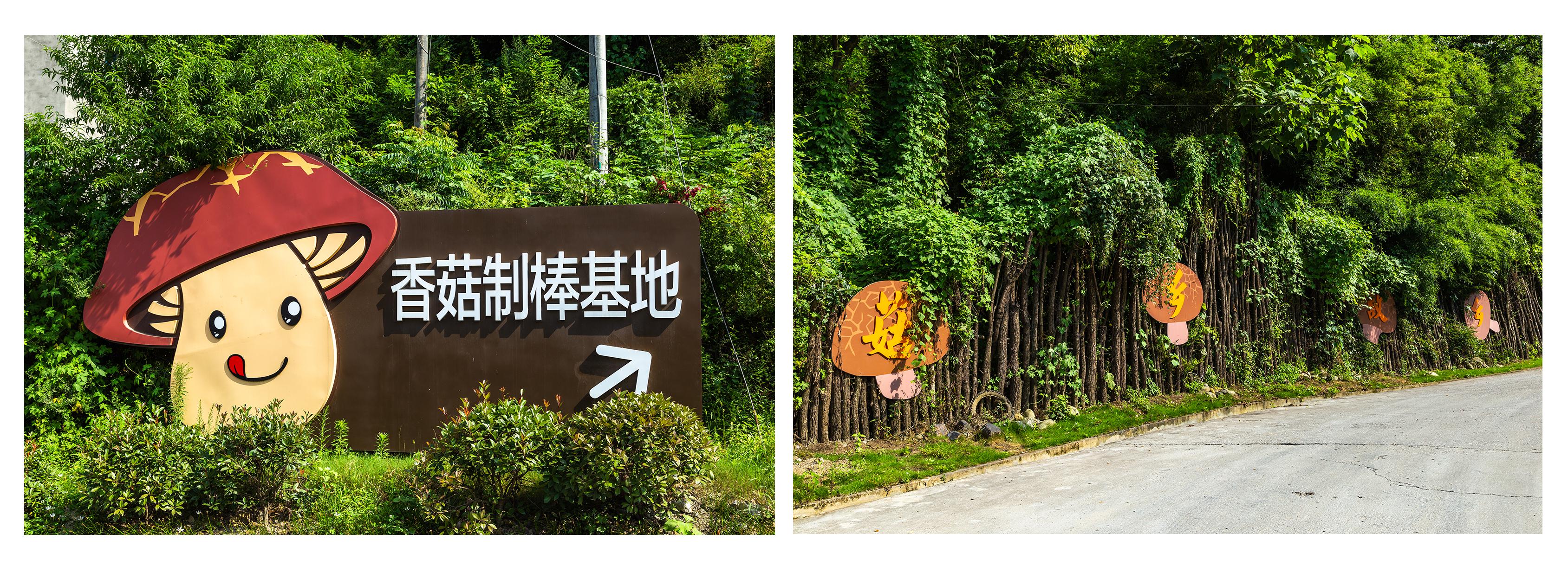 郧西还有这么美的地方,郧西县美丽乡村建设有哪几个村