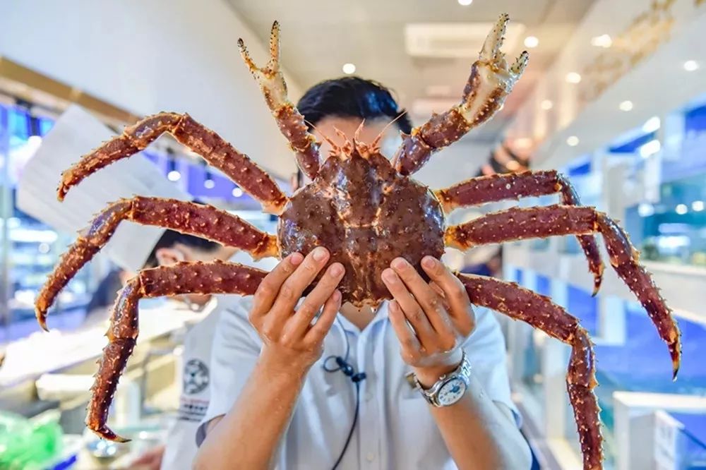 既然年终聚餐躲不掉，那就盘它啊！