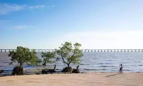 住在固戍的人，太幸福了，超抵美食，浪漫海景随手拍