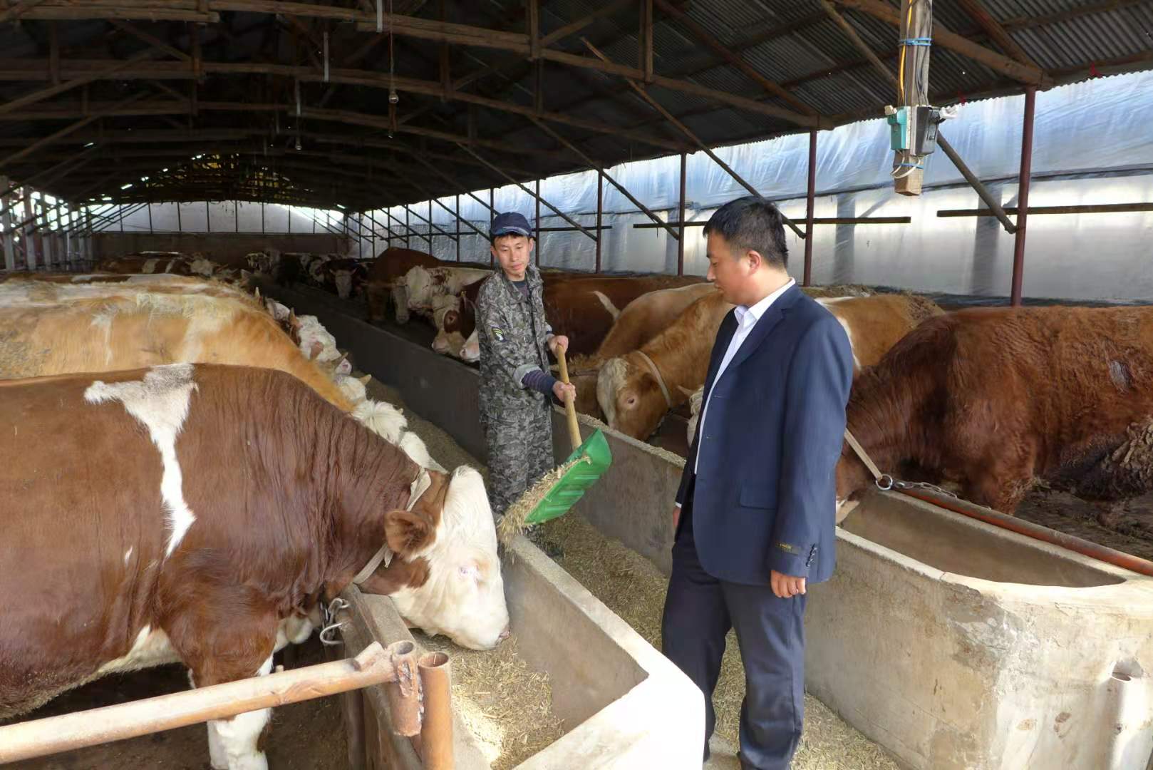 杈戒腑鍐滀俊,杈戒腑鍐滃晢閾惰