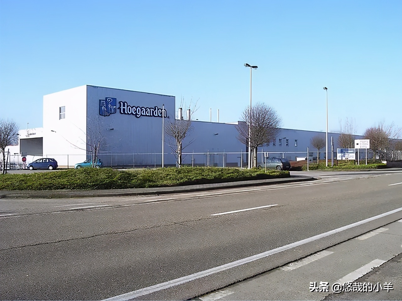 比利时白啤评测,比较常见的比利时白啤