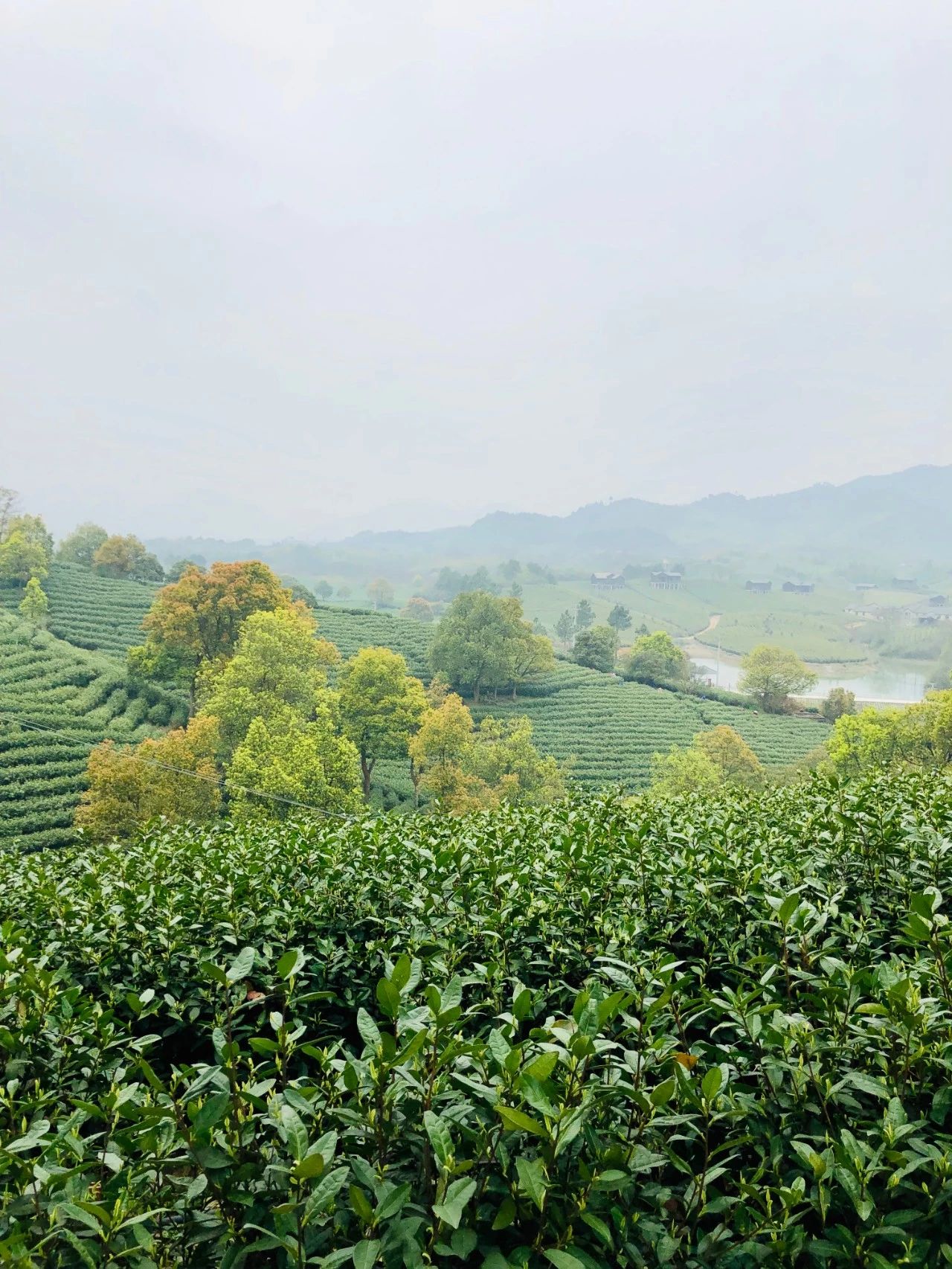 浙江最值得去的13家亲子酒店,安吉最赞的亲子酒店