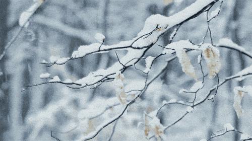 南京下雪的最新预报,南京天气预报最新下雪