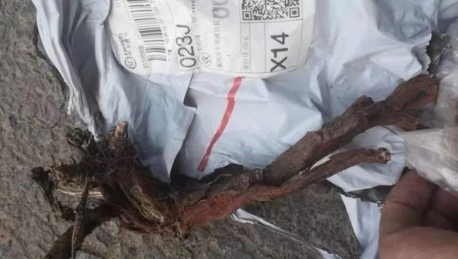 虚假售卖口罩诈骗,虚假口罩诈骗案件